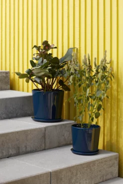 Hay -Hay 511219 01 2 EnvironmentImage 9e78883854