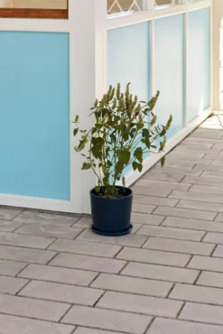 Hay -Hay 511220 01 2 EnvironmentImage 36f0c526dd scaled